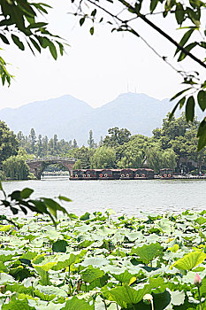 du doan xshcm minh ngoc