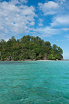 bach thu de hom nay