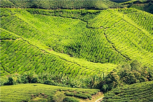 xổ số miền nam xổ số miền bắc
