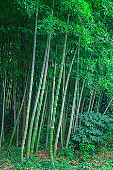 cách chơi lô trượt