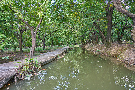 xổ số cần thơ hôm qua