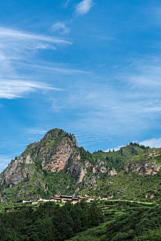 bạch thủ đề miền bắc