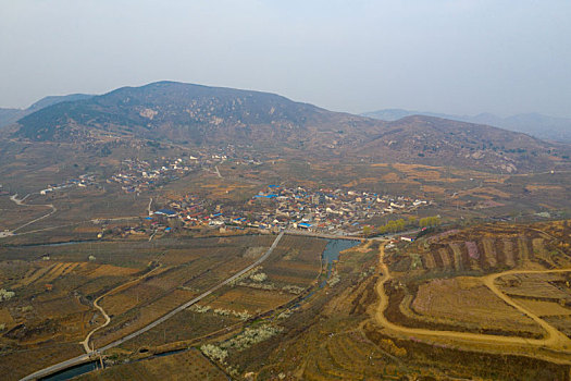 lo gan rong bach kim