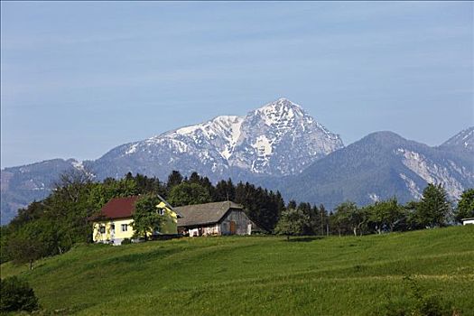 soi sô lô đê bach thu