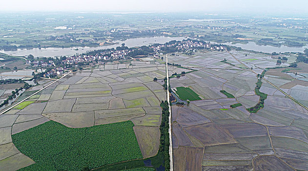 xổ số bình