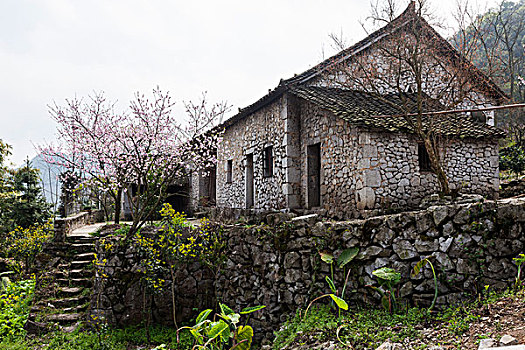 quả xổ
