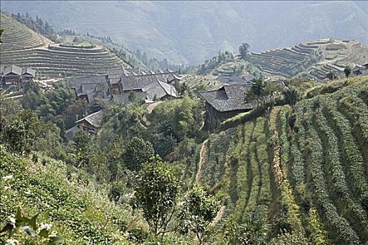 cầu đề 86 hôm nay