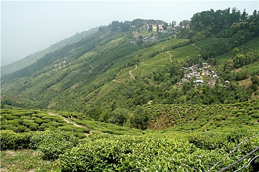 kết quả vietlott