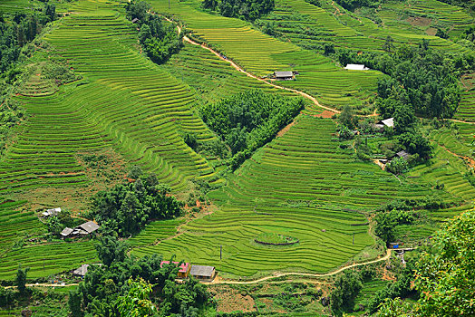 soi cầu xổ số ninh thuận