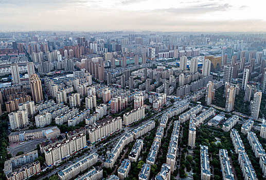 cá cược là gì
