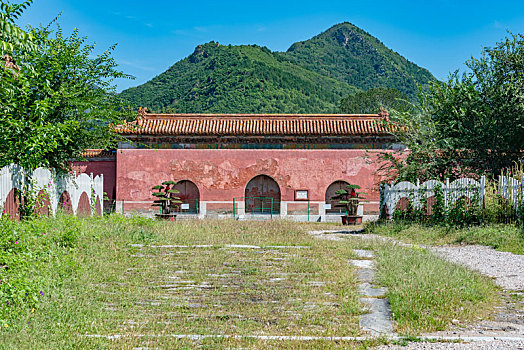xsmn dự đoán
