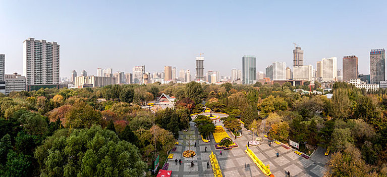soi cau 100 ngay