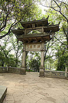dự đoán xổ số bình thuận