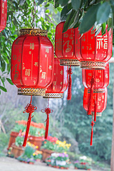soi cau khung 3 ngay 247