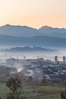 danh bai truc tuyen tren mang