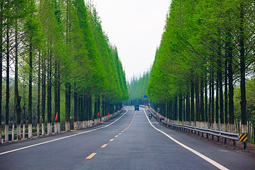 bạch thủ lô kép hôm nay