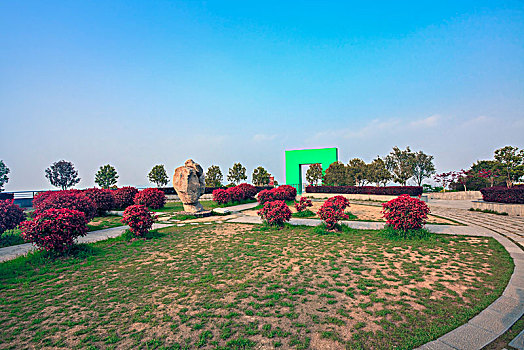 soi rong bach kim