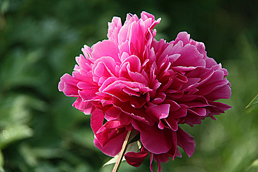 du doan xs ba mien hom nay