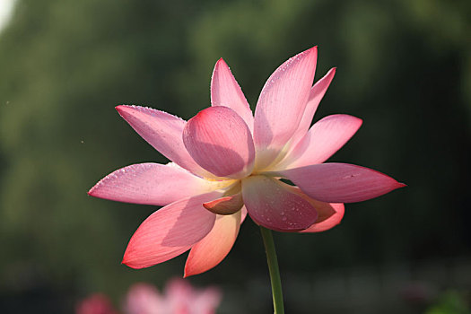 dự đoán xổ số vũng tàu hôm nay