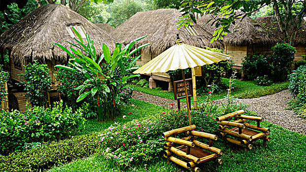 cầu bach thủ
