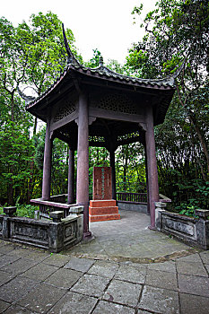 soi cau xo so kon tum