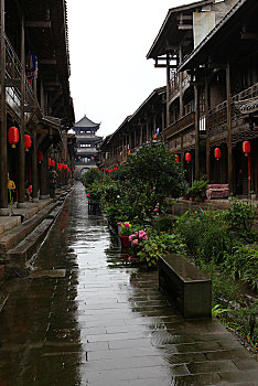 lo bạch thủ hôm nay