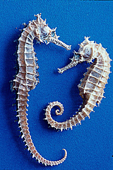 xổ số tiền giang hôm qua