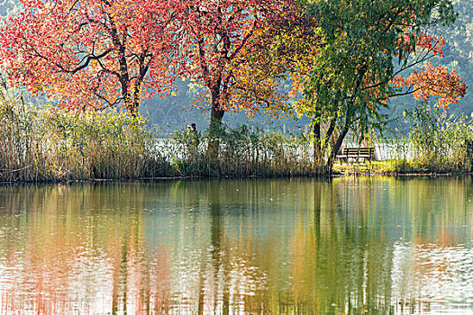 lô miền bắc