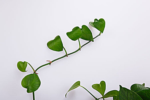 xổ số phú yên hàng tuần