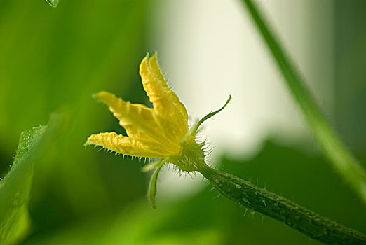 xổ số đài bắc hôm qua