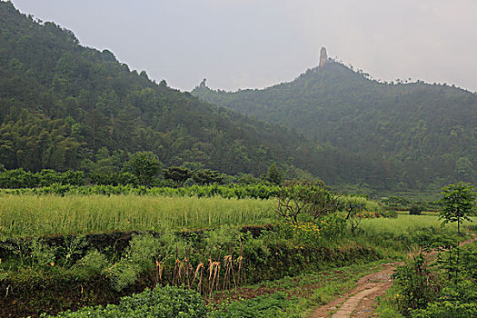xo so da lat