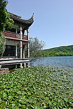 lô bạch thủ hôm nay