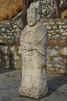 rong bach kim