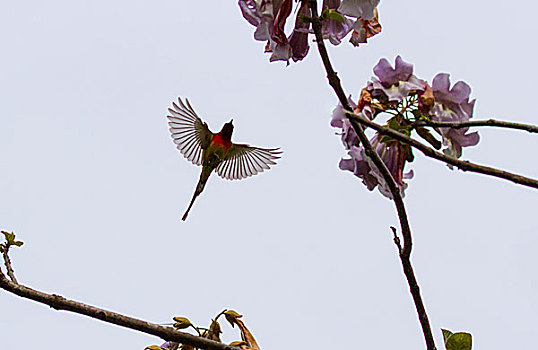 du doan trung thuong mn