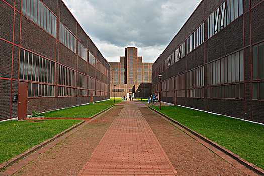 cau bach thu mien bac