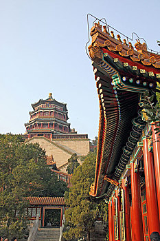 minh ngọc trực tiếp