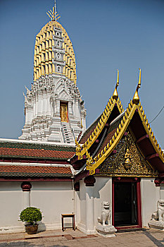 cầu miền bắc