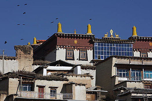 soi cau 368 chinh xac