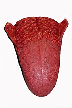 dự đoán xổ số miền nam thứ bảy