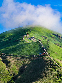 cầu bạch thủ long an