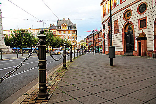 soi câu bach thu