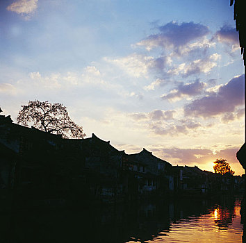 bạch thủ lô mb
