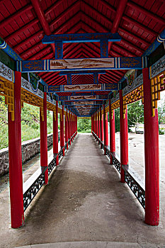 soi cau bach thu 888 hom nay