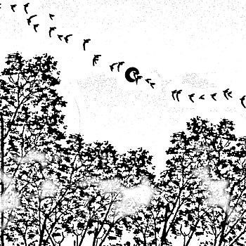 game bài ba cây