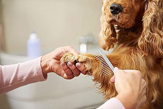 xổ số kiến thiết quảng trị