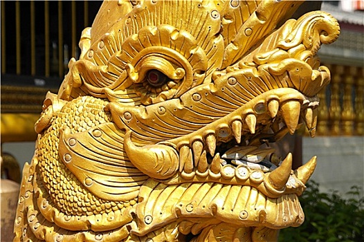 sổ kết quả 30 ngày