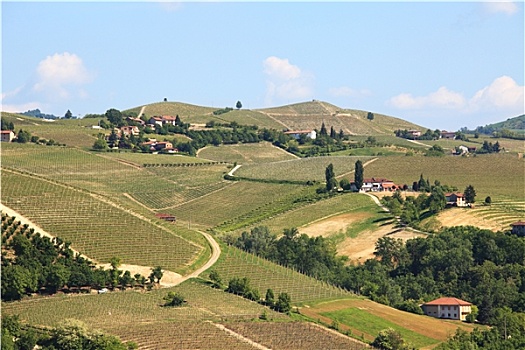 bachthulo mienbac
