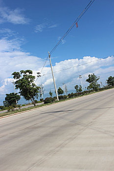 soi cầu bạch thủ