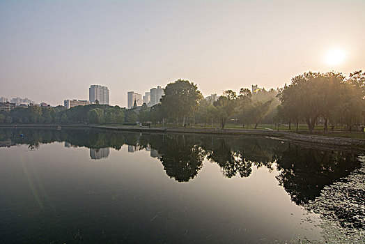 soi bạch thủ đề hôm nay