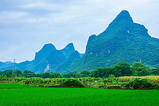 xem xổ số miền nam hôm nay